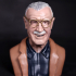 Stan Lee print image