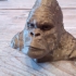 Gorilla Bust print image