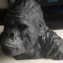 Gorilla Bust print image