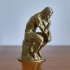 The Thinker at the Musée Rodin, France print image