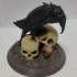 Raven Skull print image