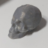 Skull print image