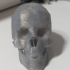 Skull print image