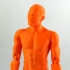 Male Articulated Figure - Print in Place & Support Free print image