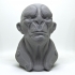 General Zhil Sci-Fi Bust print image