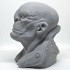 General Zhil Sci-Fi Bust print image