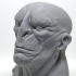 General Zhil Sci-Fi Bust print image