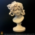 Bust of Medusa at The Musei Capitolini, Rome print image