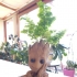 Baby Groot flower pot: "Gardens" of the Galaxy 2 print image