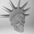 Liberty is Dying in High Resolution! print image