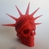 Liberty is Dying in High Resolution! print image