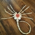 Agisis Ultimate Alien Face Hugger (40in x 23in - LIFE SIZE!) print image