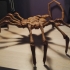 Agisis Ultimate Alien Face Hugger (40in x 23in - LIFE SIZE!) print image