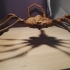 Agisis Ultimate Alien Face Hugger (40in x 23in - LIFE SIZE!) print image