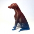 sitting natural doberman print image