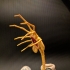 Alien Facehugger print image