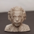 Albert Einstein Bust print image