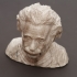 Albert Einstein Bust print image