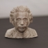 Albert Einstein Bust print image