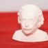 Albert Einstein Bust print image