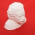 Albert Einstein Bust print image