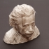 Albert Einstein Bust print image