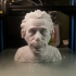 Albert Einstein Bust print image