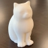 MakerBot Digitizer LaserCat - Layer thickness tests print image