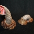 Sandworm print image