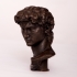 Head of Michelangelo's David print image