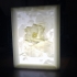 More-Than-a-Lithophane Camellia & Rose Lamp print image