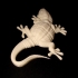 Gecko print image