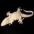 Gecko print image