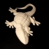 Gecko print image