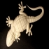 Gecko print image