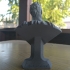 Man of Steel Bust print image