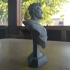 Man of Steel Bust print image