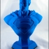 Man of Steel Bust print image