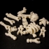 Build your own Skeleton. print image