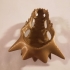 Dragon Skull print image