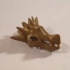 Dragon Skull print image