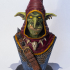 Snaggle The Wise - Goblin Hero print image