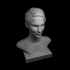 NATALIE PORTMAN BUST print image