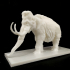 Mammoth print image