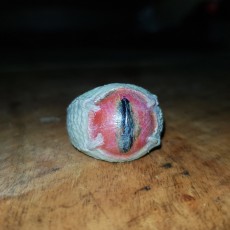 Picture of print of Dragon Eye Ring