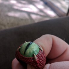 Picture of print of Dragon Eye Ring