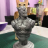 Captain America bust print image