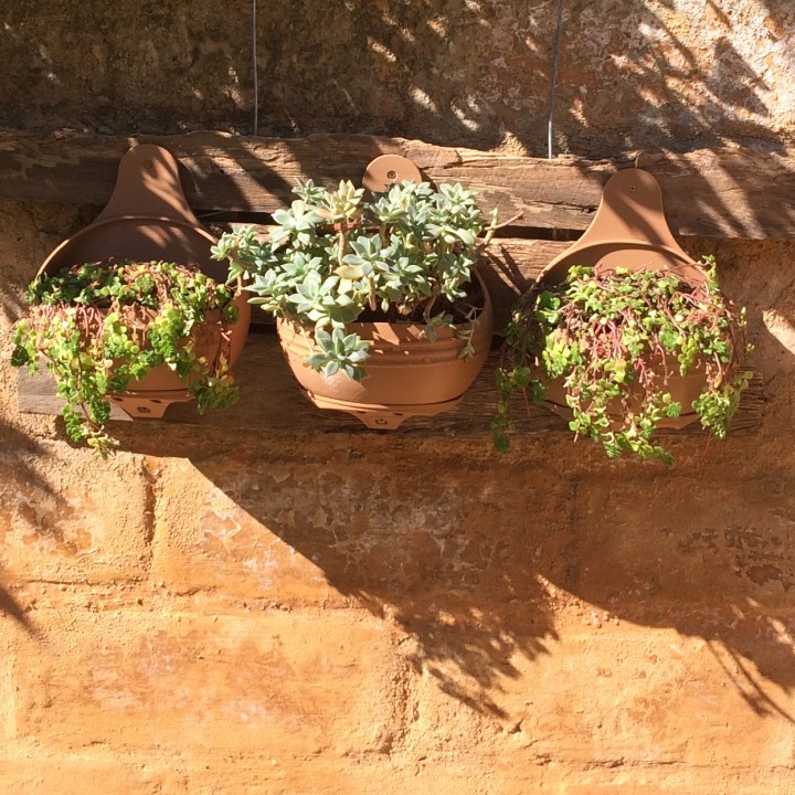 Tuscan Potbelly Wall Planter image