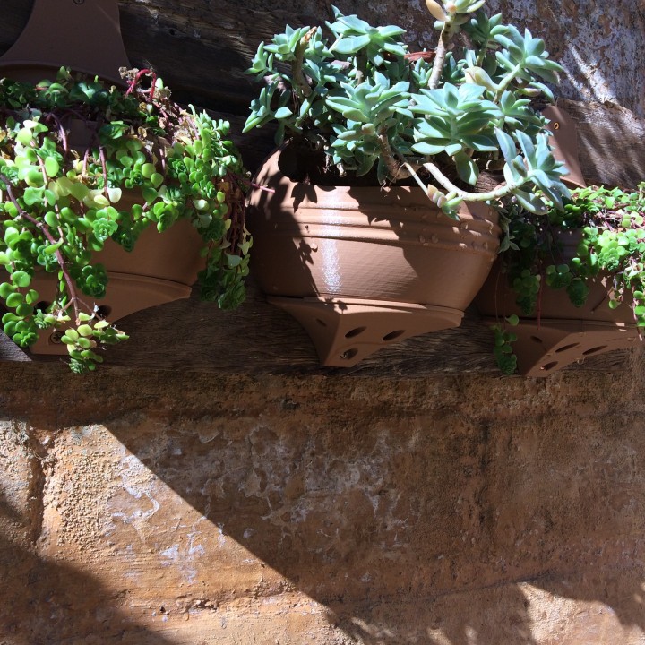 Tuscan Potbelly Wall Planter image