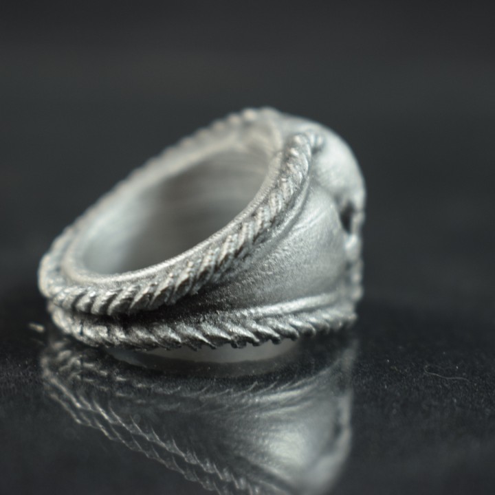 Pirate Skull Ring image